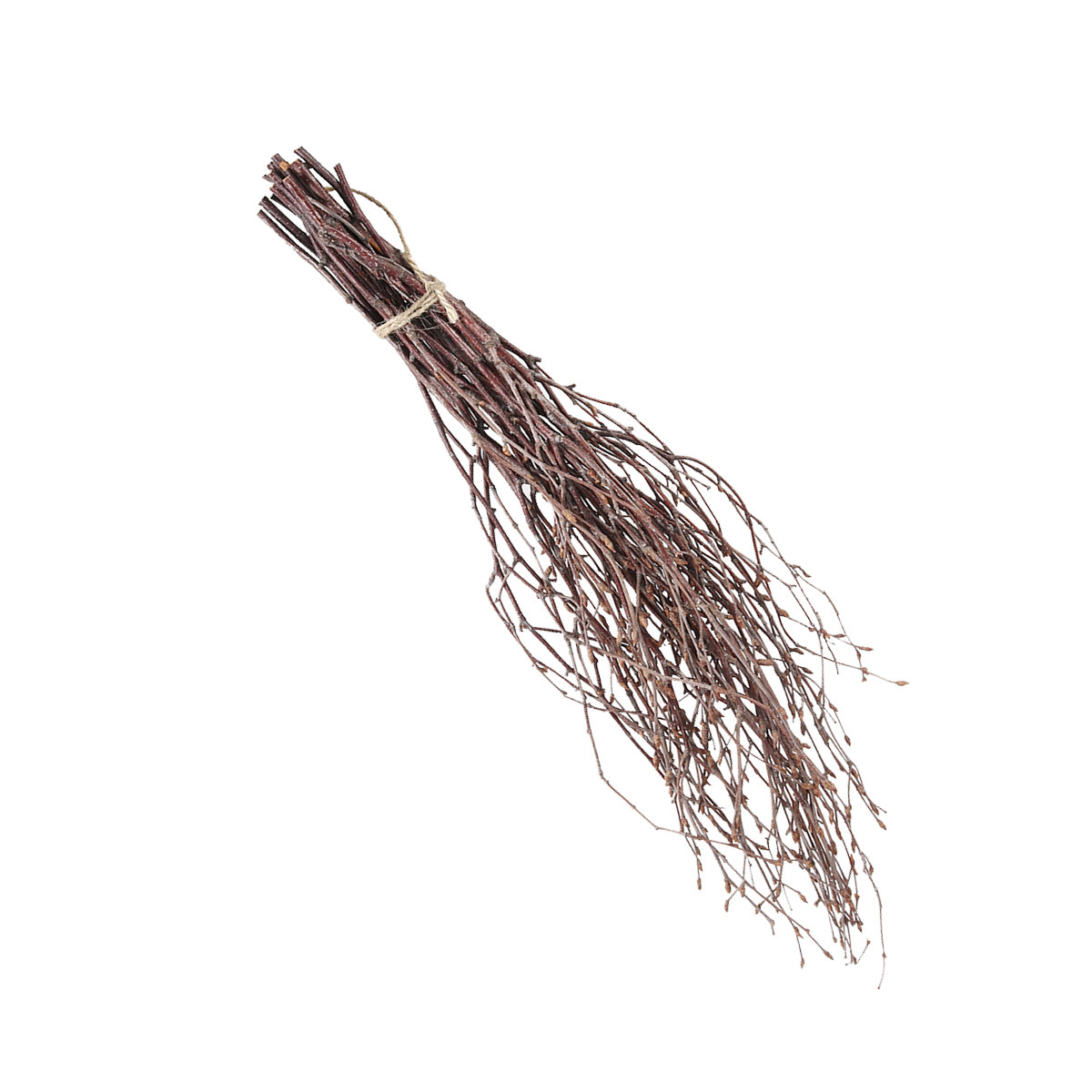 10Pcs 40Cm Premium Birch Branc - Craft Embellishments review and price