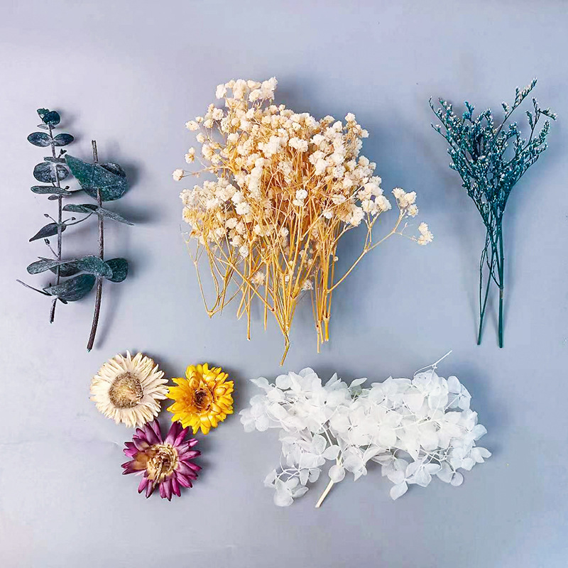 1pack Multifarious Dried Flowe - Craft Embellishments review and price