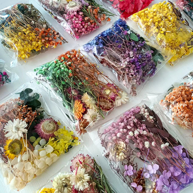 1pack Multifarious Dried Flowe - Craft Embellishments review and price